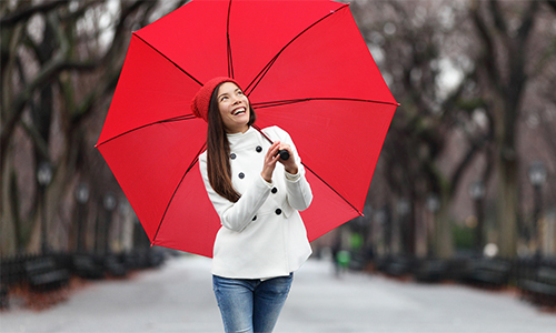 Banner graphic for umbrella insurance services