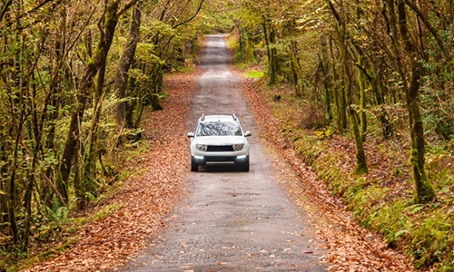 Auto_new Auto-Spring-Banner