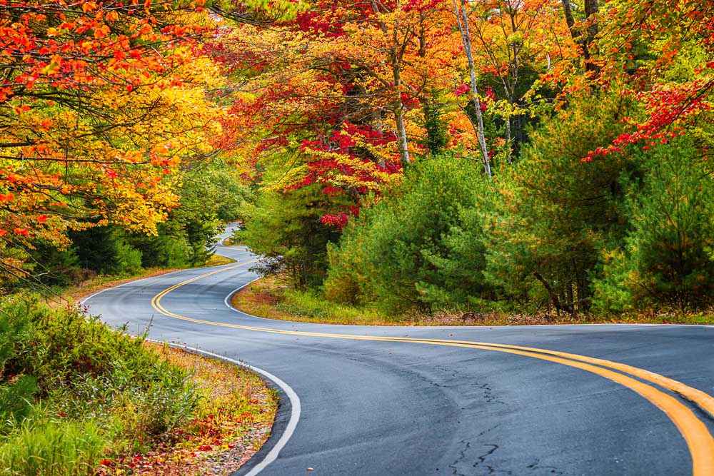 Winding,Road,Curves,Through,Scenic,Autumn,Foliage,Trees,In,New