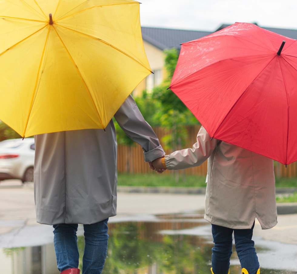 connolly-box-umbrella