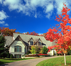 connolly-box-fall-home