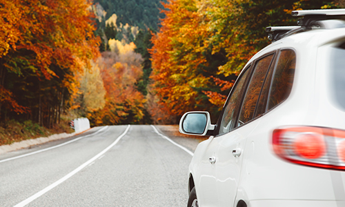 connolly-personal-fall-auto