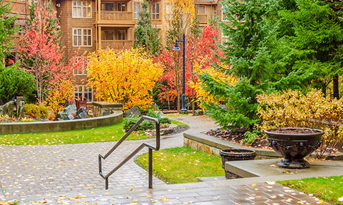 connolly-personal-fall-renter