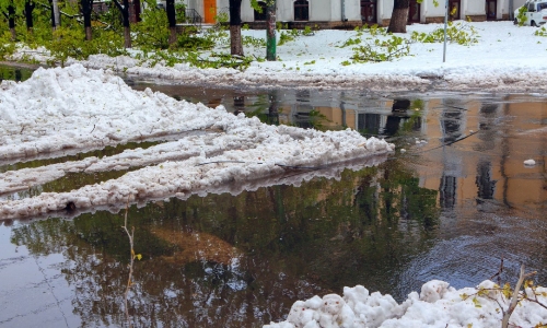 Banner graphic for flood insurance services